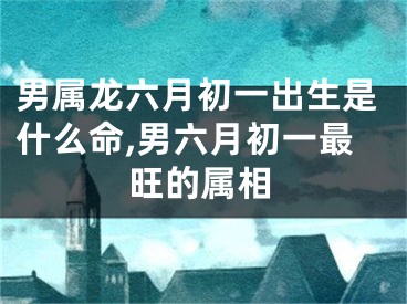 男属龙六月初一出生是什么命,男六月初一最旺的属相