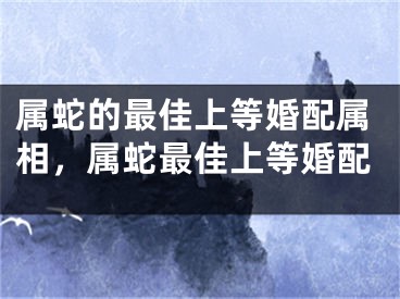 属蛇的最佳上等婚配属相，属蛇最佳上等婚配