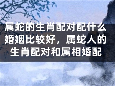 属蛇的生肖配对配什么婚姻比较好，属蛇人的生肖配对和属相婚配