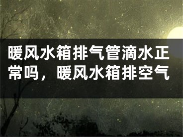 暖风水箱排气管滴水正常吗，暖风水箱排空气