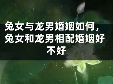 兔女与龙男婚姻如何，兔女和龙男相配婚姻好不好