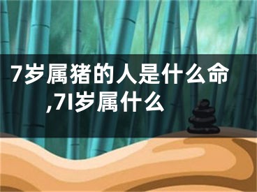 7岁属猪的人是什么命,7I岁属什么
