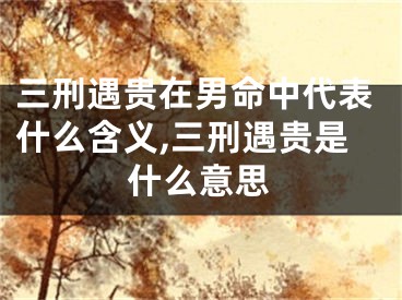 三刑遇贵在男命中代表什么含义,三刑遇贵是什么意思