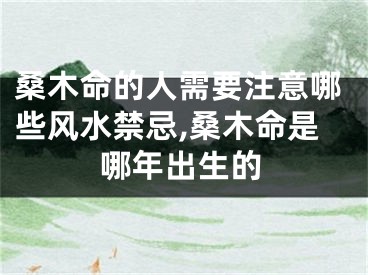 桑木命的人需要注意哪些风水禁忌,桑木命是哪年出生的