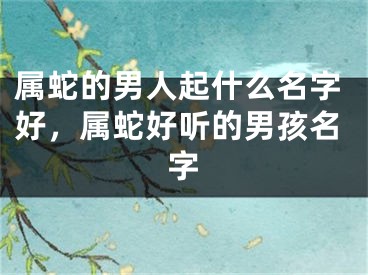 属蛇的男人起什么名字好，属蛇好听的男孩名字