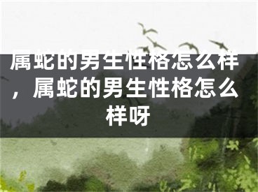 属蛇的男生性格怎么样，属蛇的男生性格怎么样呀