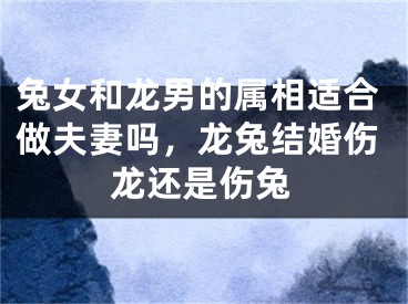 兔女和龙男的属相适合做夫妻吗，龙兔结婚伤龙还是伤兔