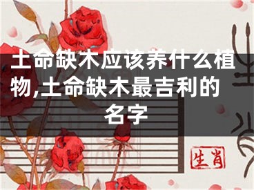 土命缺木应该养什么植物,土命缺木最吉利的名字