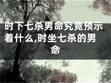 时下七杀男命究竟预示着什么,时坐七杀的男命