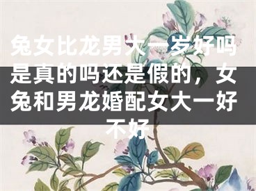 兔女比龙男大一岁好吗是真的吗还是假的，女兔和男龙婚配女大一好不好