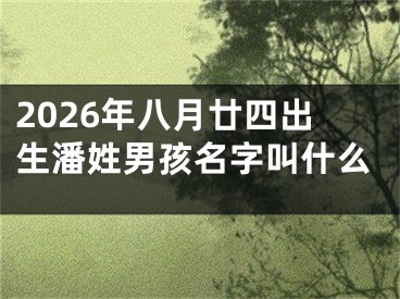 2026年八月廿四出生潘姓男孩名字叫什么