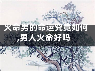 火命男的命运究竟如何,男人火命好吗