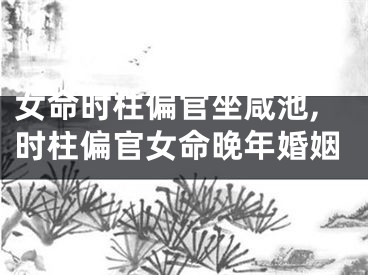 女命时柱偏官坐咸池,时柱偏官女命晚年婚姻