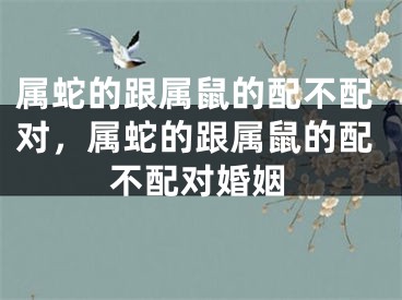 属蛇的跟属鼠的配不配对，属蛇的跟属鼠的配不配对婚姻