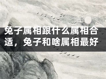 兔子属相跟什么属相合适，兔子和啥属相最好