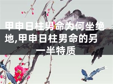 甲申日柱男命为何坐绝地,甲申日柱男命的另一半特质