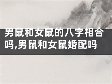 男鼠和女鼠的八字相合吗,男鼠和女鼠婚配吗