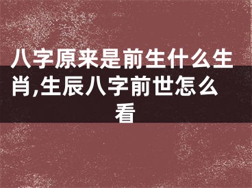 八字原来是前生什么生肖,生辰八字前世怎么看