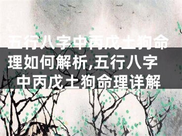 五行八字中丙戊土狗命理如何解析,五行八字中丙戊土狗命理详解