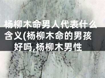 杨柳木命男人代表什么含义(杨柳木命的男孩好吗,杨柳木男性