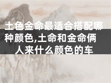 土色金命最适合搭配哪种颜色,土命和金命俩人来什么颜色的车
