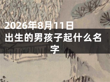 2026年8月11日出生的男孩子起什么名字
