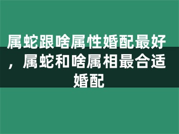 属蛇跟啥属性婚配最好，属蛇和啥属相最合适婚配