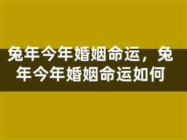 兔年今年婚姻命运,兔年今年婚姻命运如何