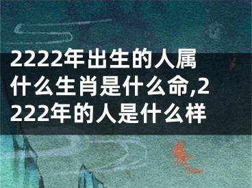 2222年出生的人属什么生肖是什么命,2222年的人是什么样