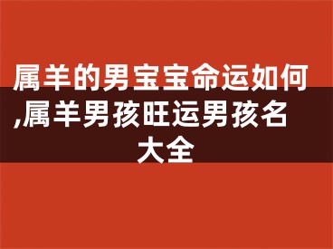 属羊的男宝宝命运如何,属羊男孩旺运男孩名大全