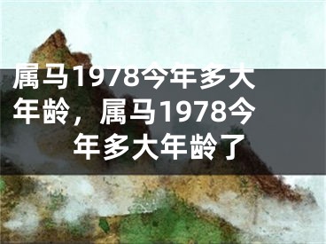 属马1978今年多大年龄,属马1978今年多大年龄了