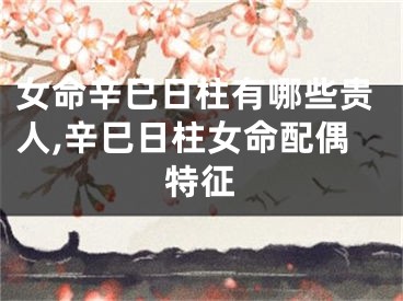 女命辛巳日柱有哪些贵人,辛巳日柱女命配偶特征