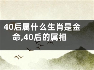 40后属什么生肖是金命,40后的属相