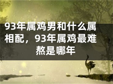 93年属鸡男和什么属相配，93年属鸡最难熬是哪年