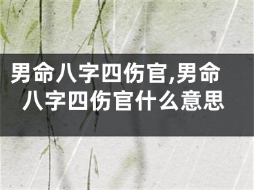 男命八字四伤官,男命八字四伤官什么意思