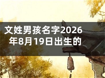 文姓男孩名字2026年8月19日出生的