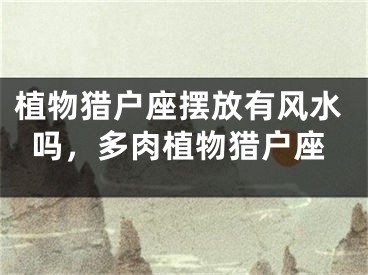 植物猎户座摆放有风水吗，多肉植物猎户座