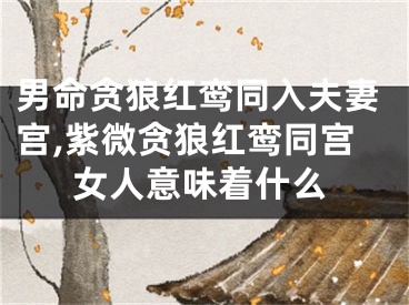 男命贪狼红鸾同入夫妻宫,紫微贪狼红鸾同宫女人意味着什么