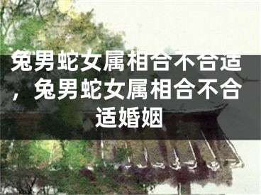 兔男蛇女属相合不合适，兔男蛇女属相合不合适婚姻