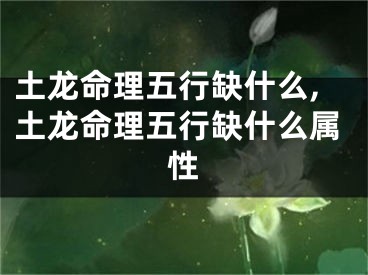 土龙命理五行缺什么,土龙命理五行缺什么属性
