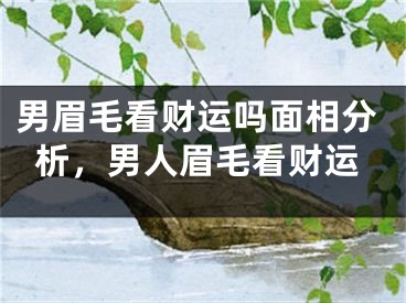 男眉毛看财运吗面相分析，男人眉毛看财运