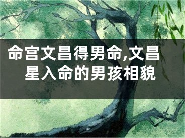 命宫文昌得男命,文昌星入命的男孩相貌