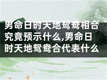 男命日时天地鸳鸯相合究竟预示什么,男命日时天地鸳鸯合代表什么