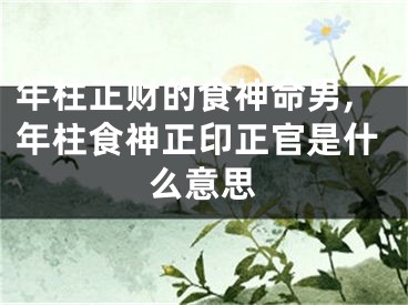 年柱正财的食神命男,年柱食神正印正官是什么意思