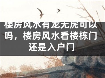 楼房风水有龙无虎可以吗，楼房风水看楼栋门还是入户门