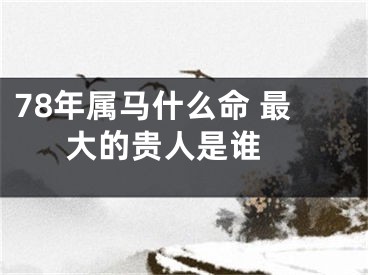78年属马什么命 最大的贵人是谁