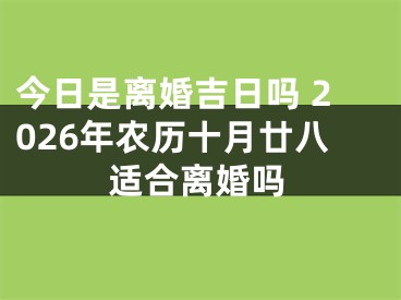 今日是离婚吉日吗 2026年农历十月廿八适合离婚吗
