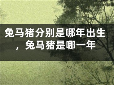 兔马猪分别是哪年出生，兔马猪是哪一年