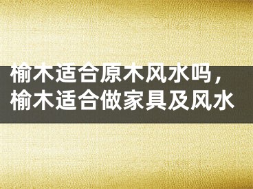 榆木适合原木风水吗，榆木适合做家具及风水