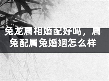 兔龙属相婚配好吗，属兔配属兔婚姻怎么样